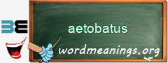 WordMeaning blackboard for aetobatus